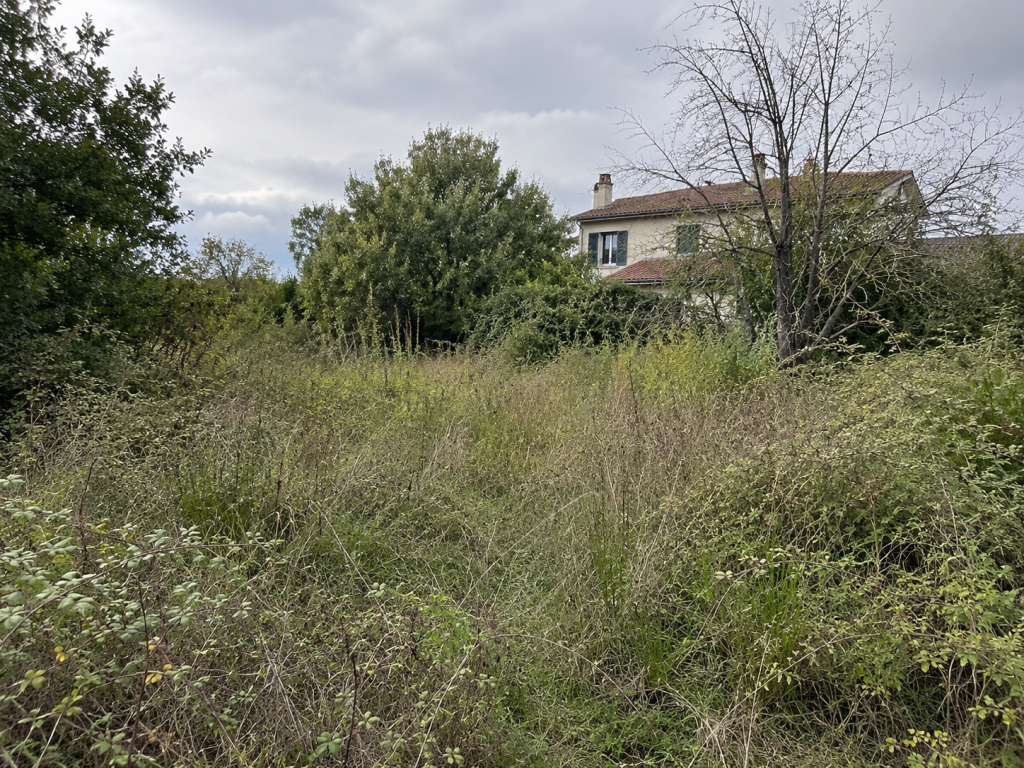 Le débroussaillage à Clermont-Ferrand, une étape essentielle pour la sécurité et l'entretien de votre propriété